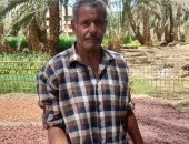العم صابر أحمد تجار البلح