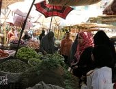 الخضار والفواكه 