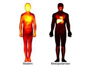 ارتباط المشاعر بالجسم