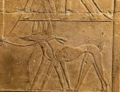 الكلاب عند المصريون القدماء