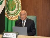 أبو الغيط يوجه بتشكيل بعثة لمتابعة انتخابات مجلس الشيوخ