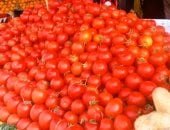 أسعار الطماطم 