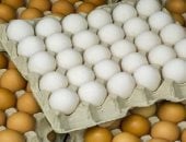 محكمة سويدية تدين أما كسرت بيضة على جبين ابنتها فى فيديو تيك توك