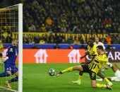  فريق بوروسيا دورتموند