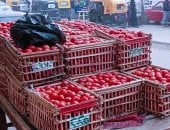 أسعار الخضروات فى الدقهلية  أسعار الخضروات فى الدقهلية