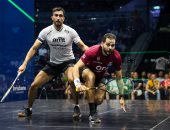 بطولة الاسكواش