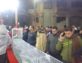 معرض هواة تربية الحمام بدمياط