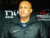 طارق مصطفى