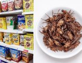 حشرات بحبوب الافطار فى بريطانيا 