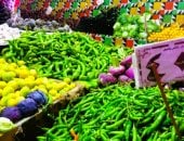 أسعار الخضراوات اليوم الأحد 11-5-2025 فى القليوبية.. الطماطم بـ7 جنيهات