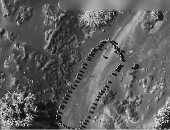 أرشيفية 