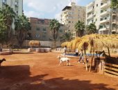 حديقة الحيوان بمحافظة الشرقية