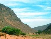 قرية أبرق.. جوهرة محمية جبل علبة وأهم قطاعاتها وكنز الجنوب التاريخي والطبيعي.. بها نقوش تدل على آثار الإنسان ما قبل التاريخ.. تحوي بقايا قلعة رومانية قديمة.. وينتشر بها العشب مطلع الربيع والشتاء كل عام.. صور