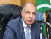 محافظ المنيا