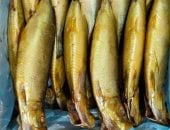 طرح رنجة بسعر 145 جنيها للكيلو