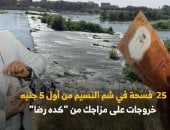 محمود رضا الزاملى مقدم برنامج كده رضا على تليفزيون اليوم السابع