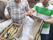 رنجة غير صالحة للاستخدام