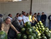 مزاد بيع البطيخ في الإسكندرية