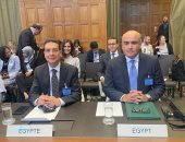 وفد مصر فى العدل الدولية 