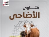 فتاوى الأضاحى.. تعرف على شروط ذبح أضاحى العيد