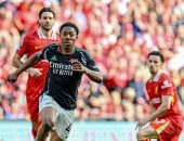 ملخص وأهداف مباراة ليفربول ضد أرسنال في الدوري الإنجليزي جانب من اللقاء