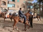 غبار الأرض شاهد على النزال.. منافسة الخيالة في مولد أبو عامر بقنا.. لايف