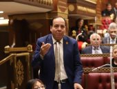 النائب أشرف أبو النصر نائب رئيس الهيئة البرلمانية 