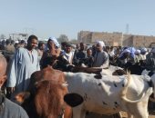 جانب من الحملات