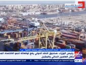 الدكتور هشام إبراهيم أستاذ الاستثمار والتمويل بجامعة القاهرة