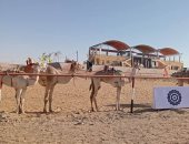كل الطرق تؤدى إلى الوادى الجديد.. نادى الهجن الدولى بالخارجة يستعد لفعاليات دولية مرتقبة.. مضمار بطول 5 كيلو ومنصة رئيسية وأخرى للجمهور وقرية تراثية.. ومستشار رئيس الجمهورية للتنمية المحلية يشيد بالخدمات.. صور