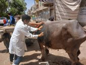 القوافل العلاجية المجانية
