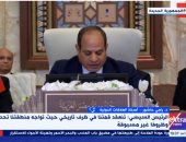 مداخلة الدكتور رامى عاشور أستاذ العلاقات الدولية