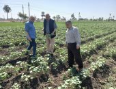 الإرشاد الزراعي فى أسيوط 