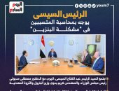 السيد الرئيس عبد الفتاح السيسى
