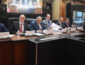 المستشار محمود فوزى وزير الشئون النيابية والقانونية