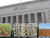 ضوابط الاستئناف الفرعى 