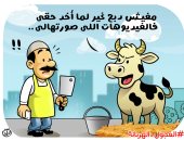 ظاهرة "العجول الهربانة" في كاريكاتير اليوم السابع