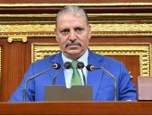 اللواء إبراهيم المصري وكيل لجنة الدفاع والأمن بمجلس النواب