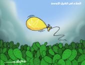 الحرب الإسرائيلية الإيرانية والسلام فى الشرق الأوسط بكاريكاتير اليوم السابع