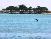 الطبيعة ترسم لوحة فنية 