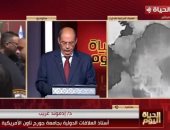 أستاذ بجامعة جورج تاون الأمريكية