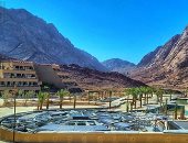 قلب سيناء النابض.. جبال سانت كاترين الشاهقة