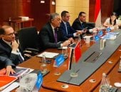 وزير الاستثمار: مصر تطوّر حاليا عددا من المشروعات البتروكيماوية الكبرى