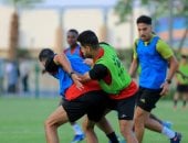 المقاولون