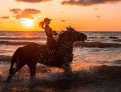 تفسير حلم ركوب الخيل على البحر.. دلالات نفسية مختلفة أبرزها التحدى