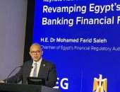  الدكتور محمد فريد، رئيس الهيئة العامة للرقابة المالية