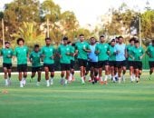 النادي المصري