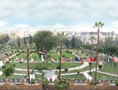 جامعة المنصورة 