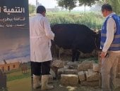 قافلة بيطرية لحياة كريمة بساقية موسي بالمنيا