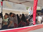 انتخابات مجلس الشيوخ